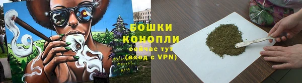 дмт Гусь-Хрустальный
