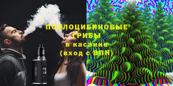 дмт Гусь-Хрустальный