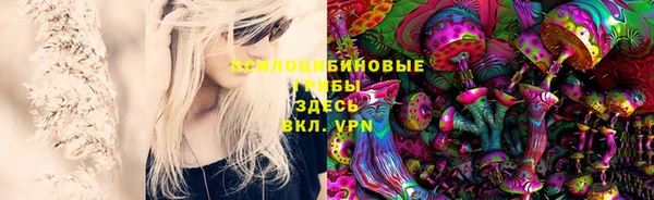 дмт Гусь-Хрустальный